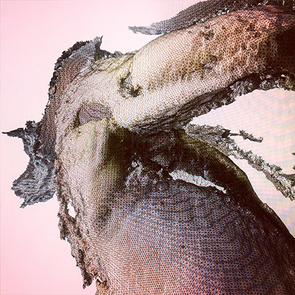 Interrupted 3D scan by artist Paul Coombs